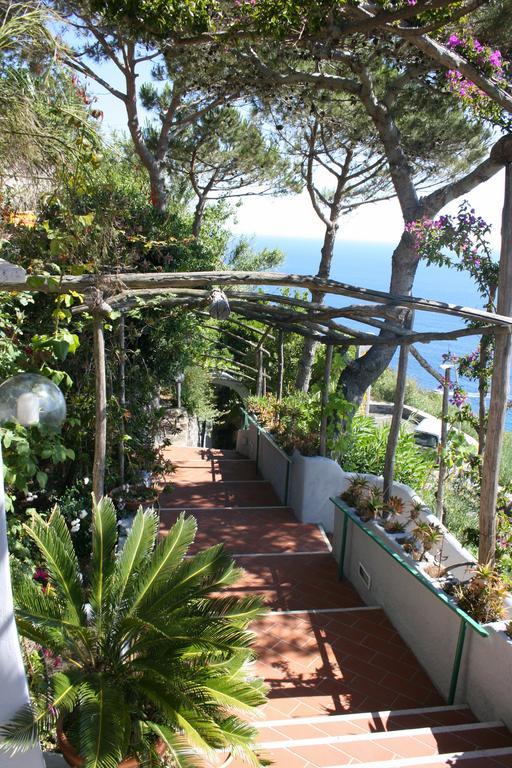 Hotel Villa Al Mare 바라노디스키아 외부 사진